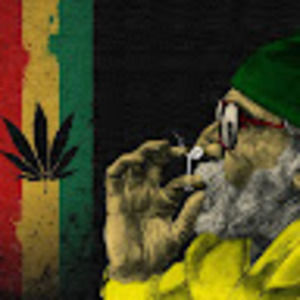 Meet your Posher, Onur